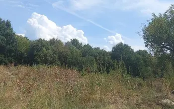 Auction image Farmland