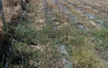 Auction image Farmland