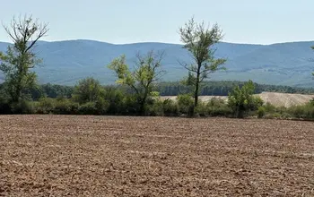 Farmland