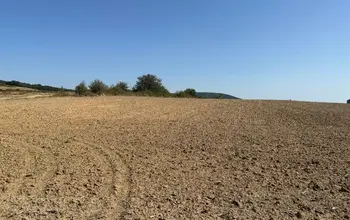 Auction image Farmland