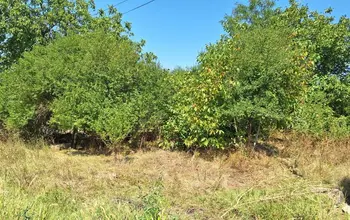 Auction image Land for building