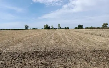 Auction image Farmland