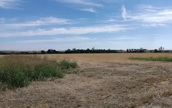 Auction image Farmland