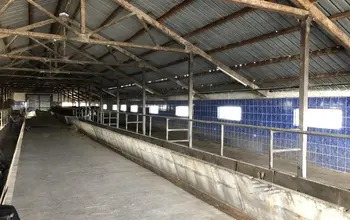 Auction image Factory, Manufacturing