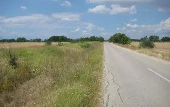 Auction image Farmland