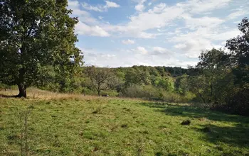 Auction image Farmland