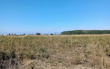 Auction image Farmland