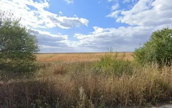 Auction image Земеделска земя/имот, ферма, парник/оранжерия