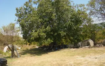 Auction image Land for building