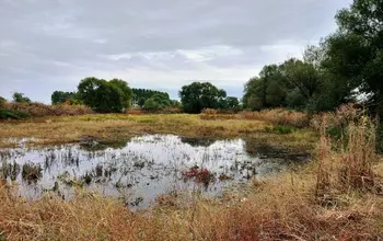 Farmland