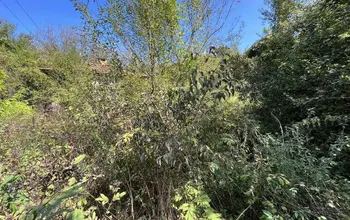 Auction image Land for building