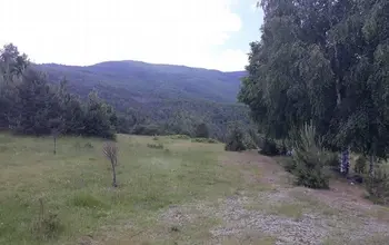 Auction image Land for building