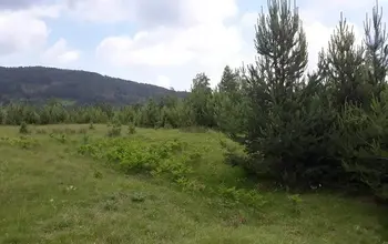 Auction image Land for building