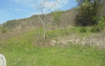 Auction image Farmland
