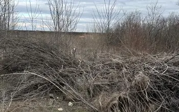 Auction image Парцел (ПИ, УПИ, двор)