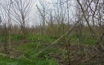 Auction image Парцел (ПИ, УПИ, двор)