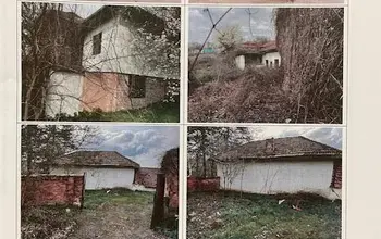 Auction image House