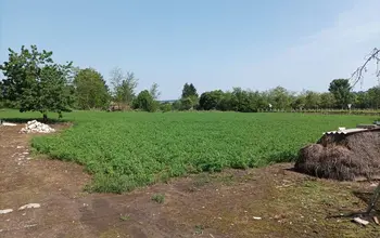 Auction image Land for building