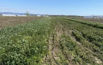 Auction image Farmland