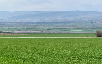 Auction image Farmland