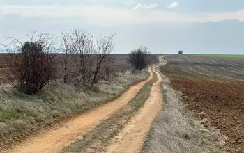 Земеделска земя, ферма