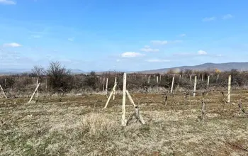 Auction image Farmland