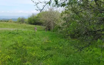 Auction image Land for building