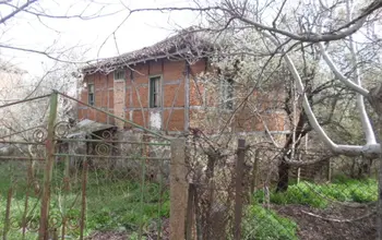 Auction image House