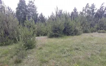 Auction image Land for building
