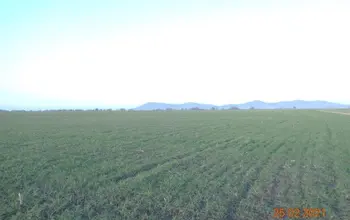 Auction image Farmland
