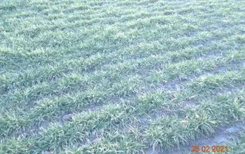 Auction image Farmland