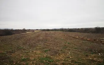 Auction image Farmland