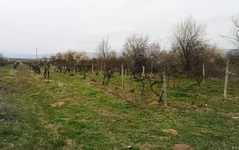 Auction image Farmland