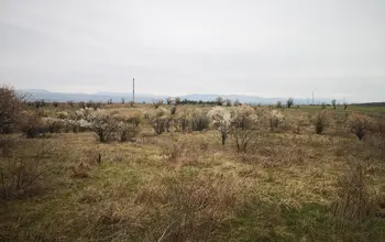 Auction image Farmland