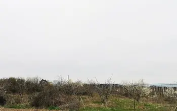 Auction image Farmland