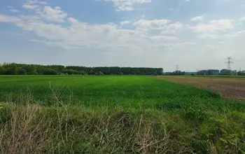 Auction image Farmland