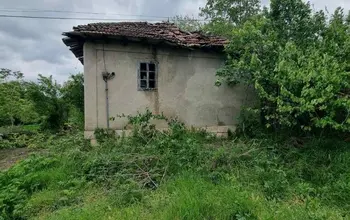 Auction image House