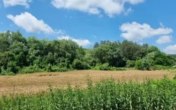 Auction image Land for building