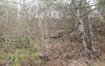 Auction image Land for building