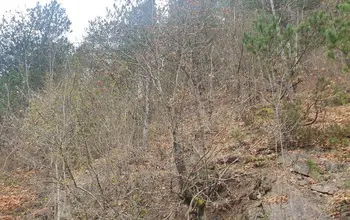 Auction image Land for building