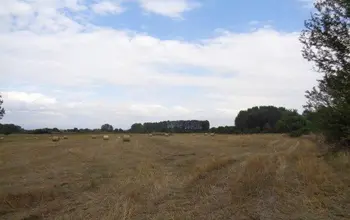Auction image Farmland