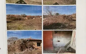 Auction image House