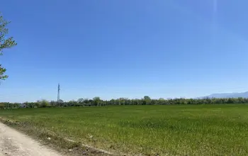 Auction image Farmland