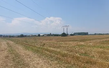 Auction image Farmland