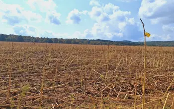 Farmland