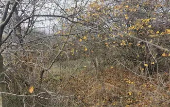 Auction image Land for building