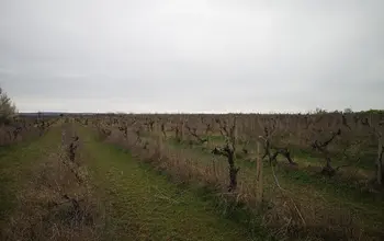 Auction image Farmland