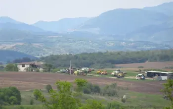 Auction image Farmland
