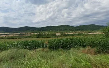 Farmland