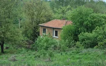 Auction image Парцел (ПИ, УПИ, двор)
